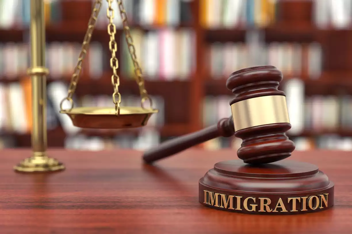 Immigration law concept photo